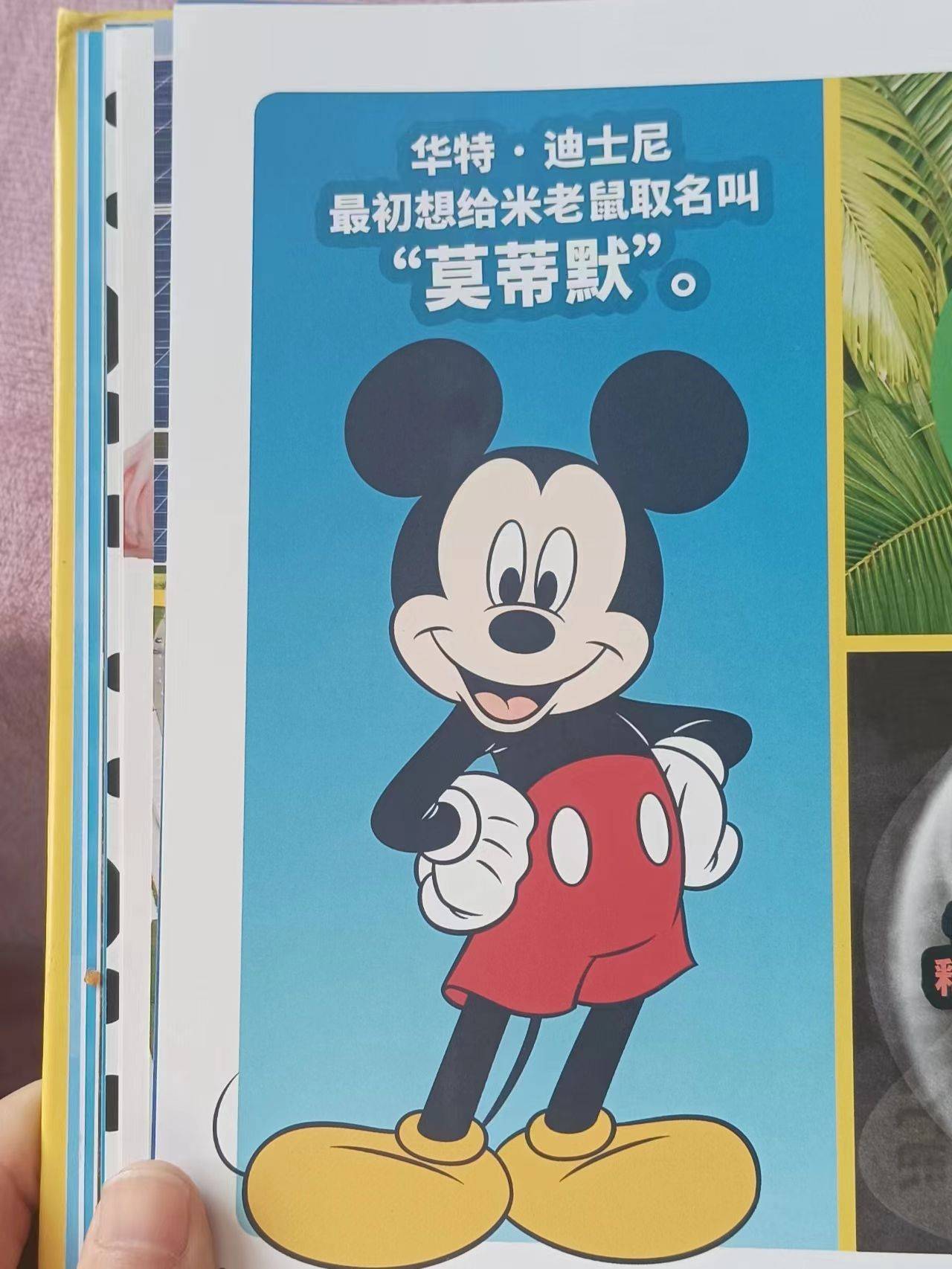 去迪士尼好好玩但没时间没预算太远等去不了了解迪士尼这一本就够了