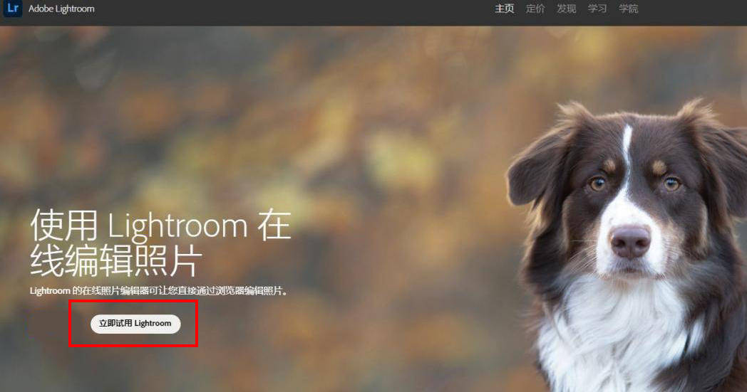 有哪些适合新手的拍照模板相机