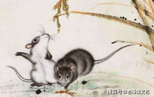 原创熬到4月份开门见喜求财来财百事顺畅的3大属相