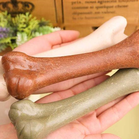 原创这几种蔬菜是狗狗的必备吃喂狗狗肉的话后果很严重