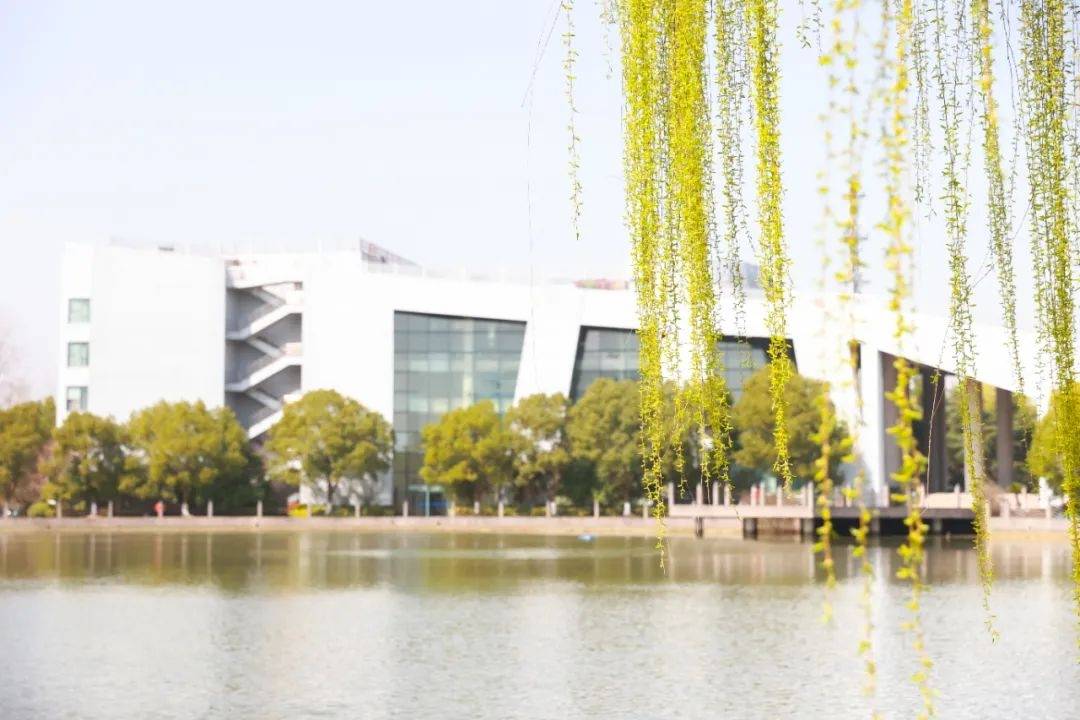 春光大好,一起去上海外国语大学寻春!_粉色_西索_校园