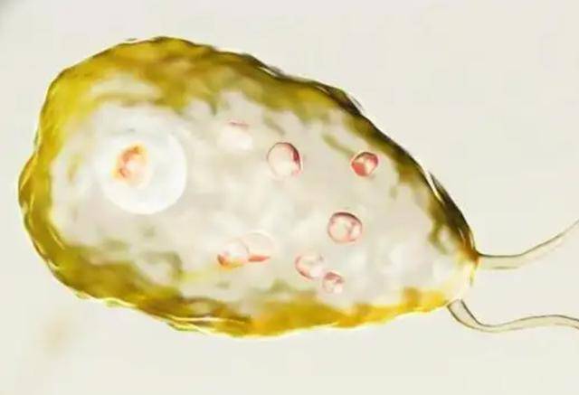 痰是肺部健康的信号,咳出黑痰,黄痰,白痰分别代表着什么?