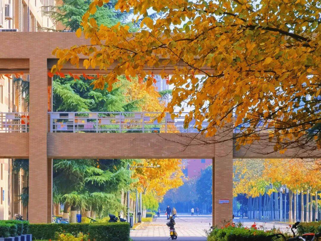 陕西科技大学,邀你来见!_轻工_学子_校园
