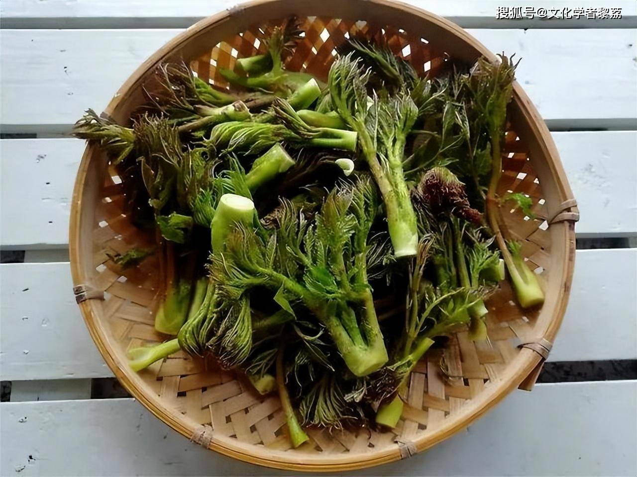 野菜和春宴