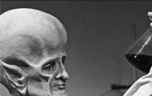 一万年前,有一群比爱因斯坦智商还高的人种出现,可惜灭绝了_博斯科普