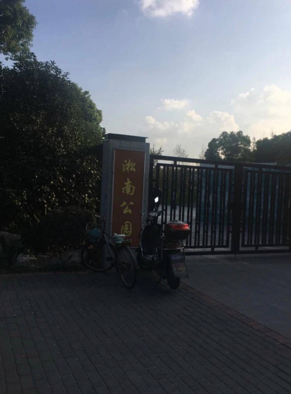 原创上海宝山淞南公园优美的风景光彩夺目