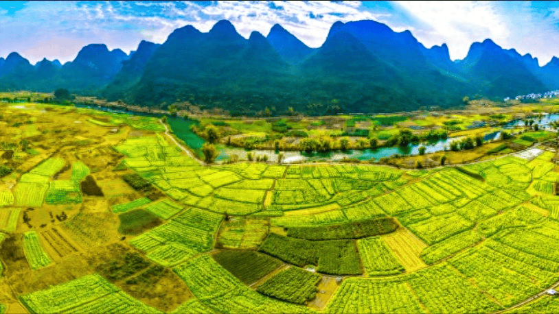 中国十大油菜花海,你去过几个?_罗平县_景区_梯田