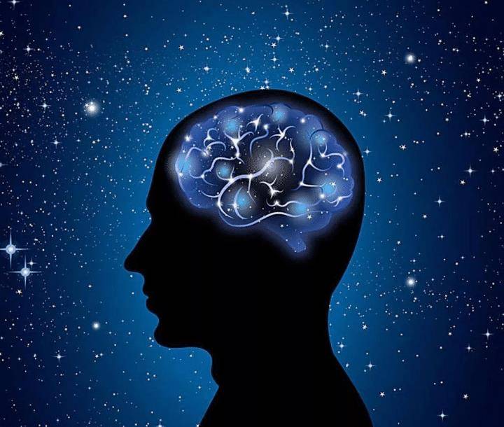 人的大脑大约相当于多大的内存几百mb还是几百个t