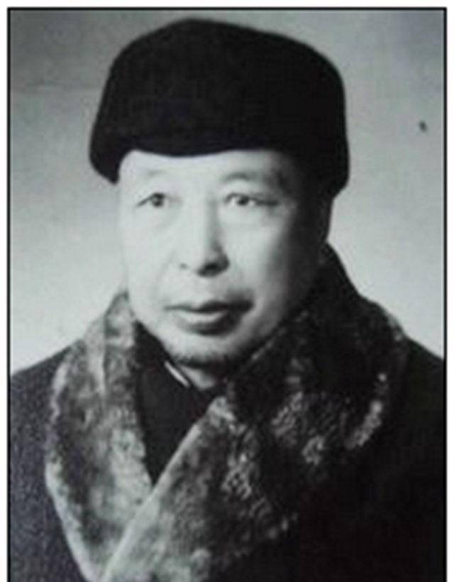 大师得武学真传,却没有政治头脑,空有一身绝艺,只能流落街头_田兆麟