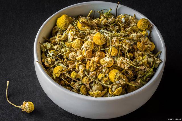 胎菊,又称甘菊,亦名小胎皇_的作用_开水_花蕾