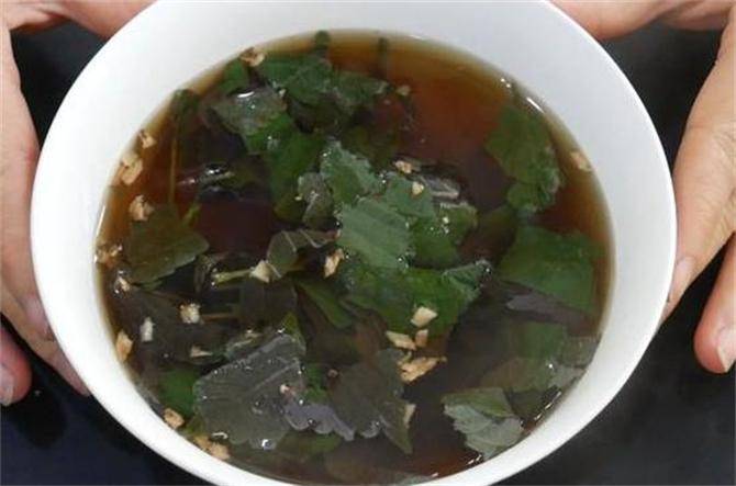 原创紫苏叶加生姜泡水喝老一辈人的养生秘诀很多人都不知道