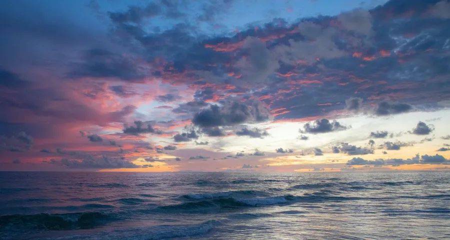 市场无退路:海尔美的海信华为创维业绩靓,格兰仕方太老板抢先机-家电圈官网