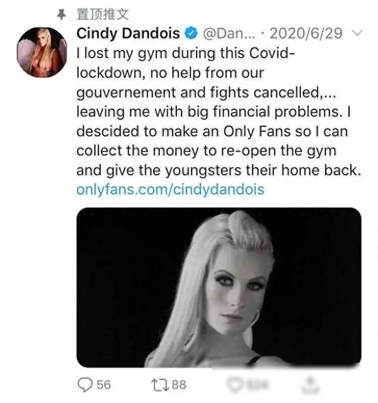 收入_辛迪_一行