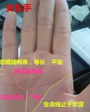 原创此手相者一生不缺钱财婚姻美满注定一世享清福