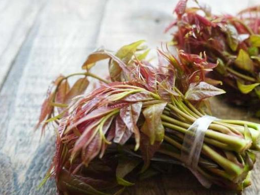 网友:新炫富方式,吃香椿_叶子滚_备用_野菜