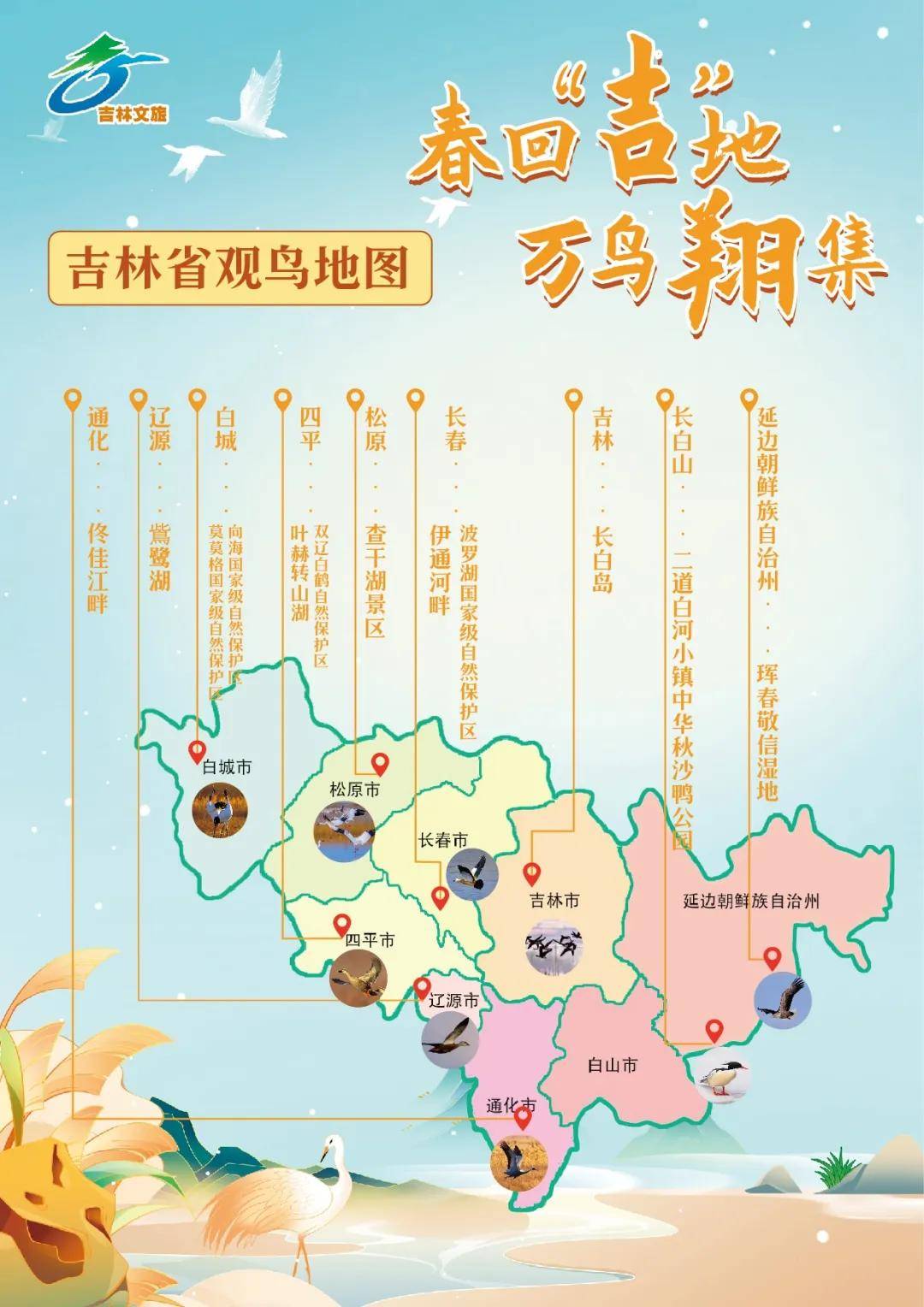 觅食游弋引得市民游客停驻观赏美丽的松原查干湖景区成百上千只苍鹭