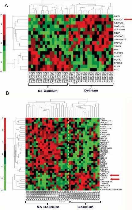 431_687竖版 竖屏