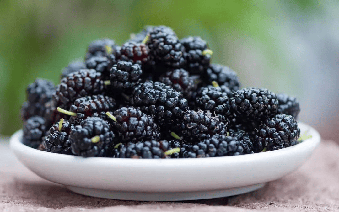 提高免疫力吃什么东西最好,探索天然免疫增强剂_桑葚_原浆_身体