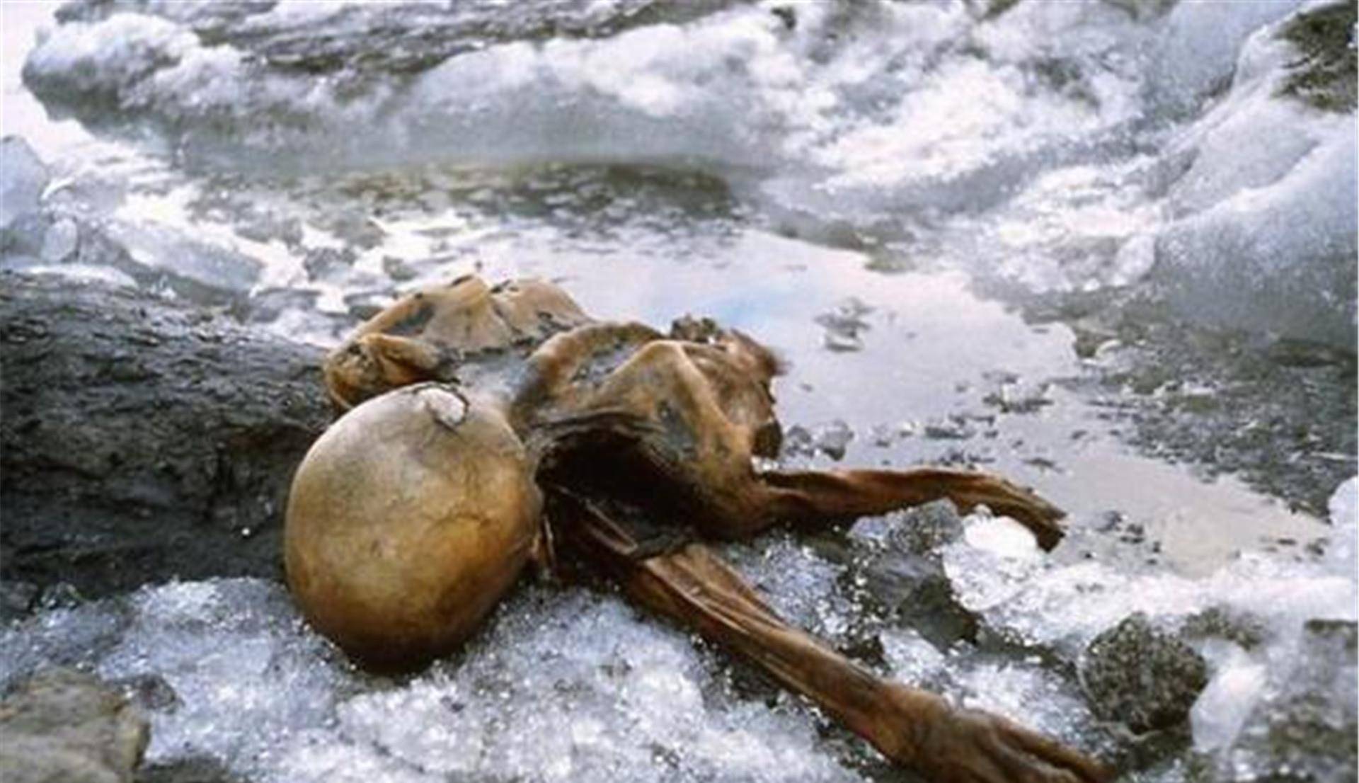 为何拼命往冰山上跑_奥兹_进行_尸体