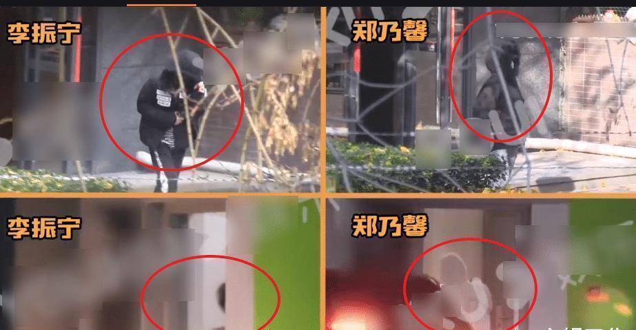 被曝有恋情,官方立马发文回应,却被质疑蹭热度_郑乃馨_李振宁_支持