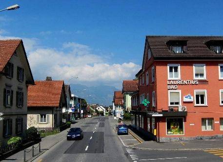 这个国家很搞笑,派了80个人去打仗,战争结束,回来竟成81个人_列支敦士