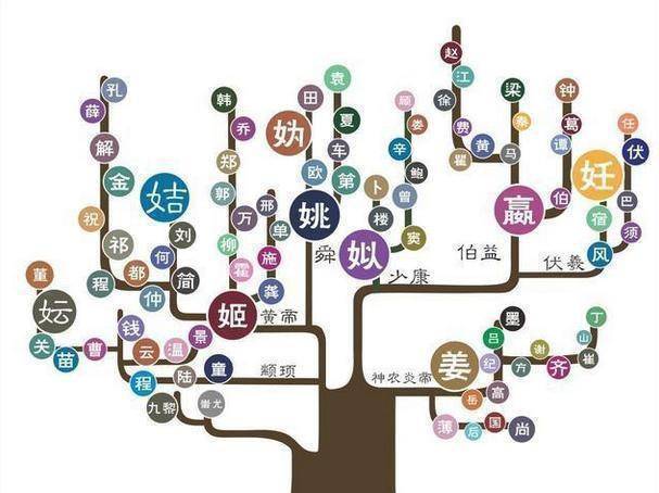 权威版中国姓氏起源分布图,人口数量排名前100大姓_历史_家族_夏商