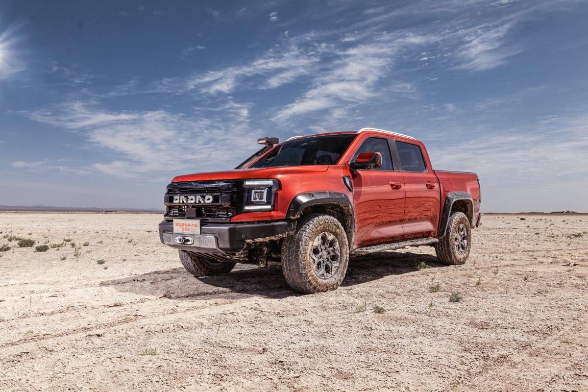 驰骋春色,大道敢探者:诠释硬派皮卡的诗意生活_搜狐汽车_搜狐网