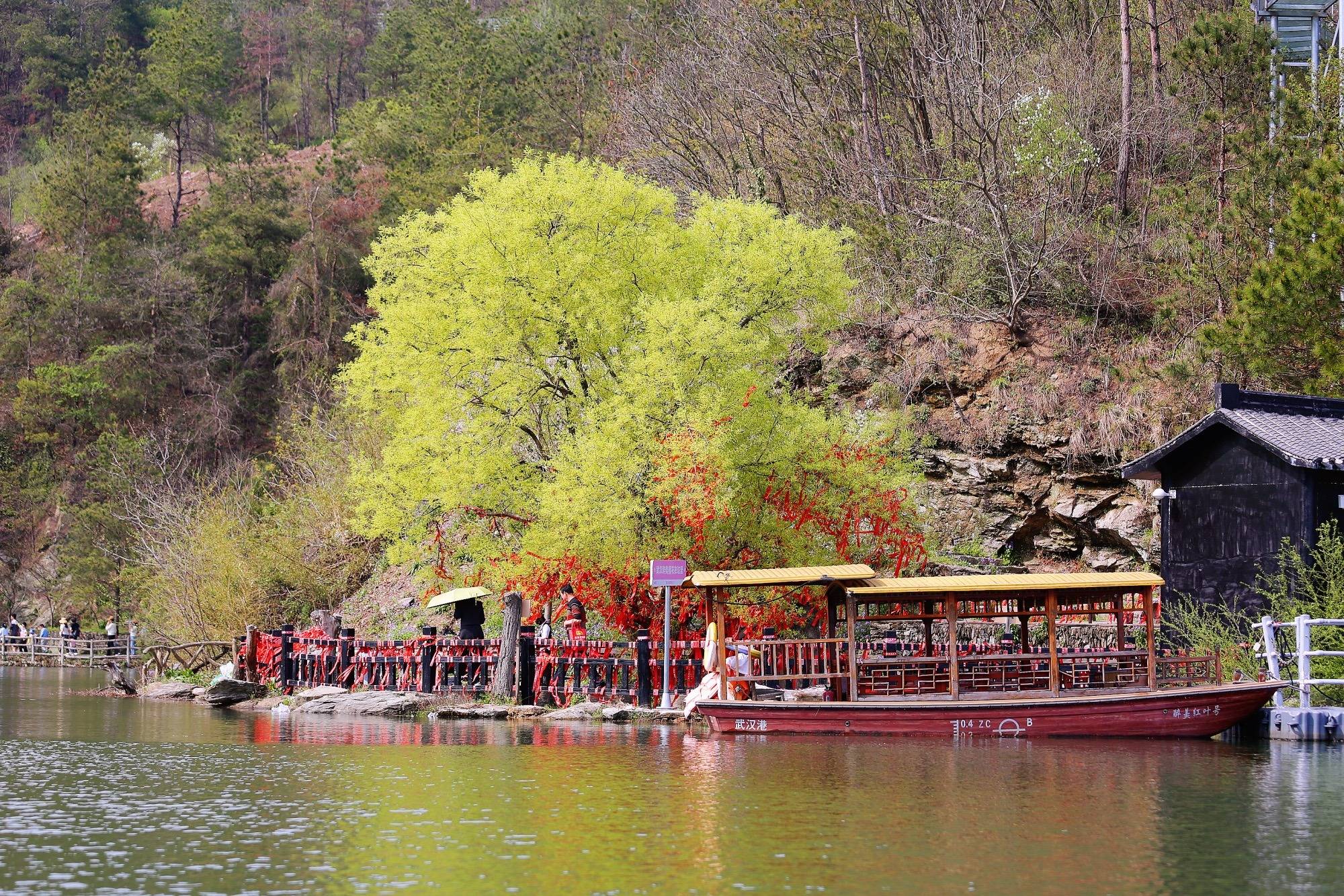 原创武汉黄陂清凉寨环境优美樱花盛开是一处远离喧嚣的世外桃源