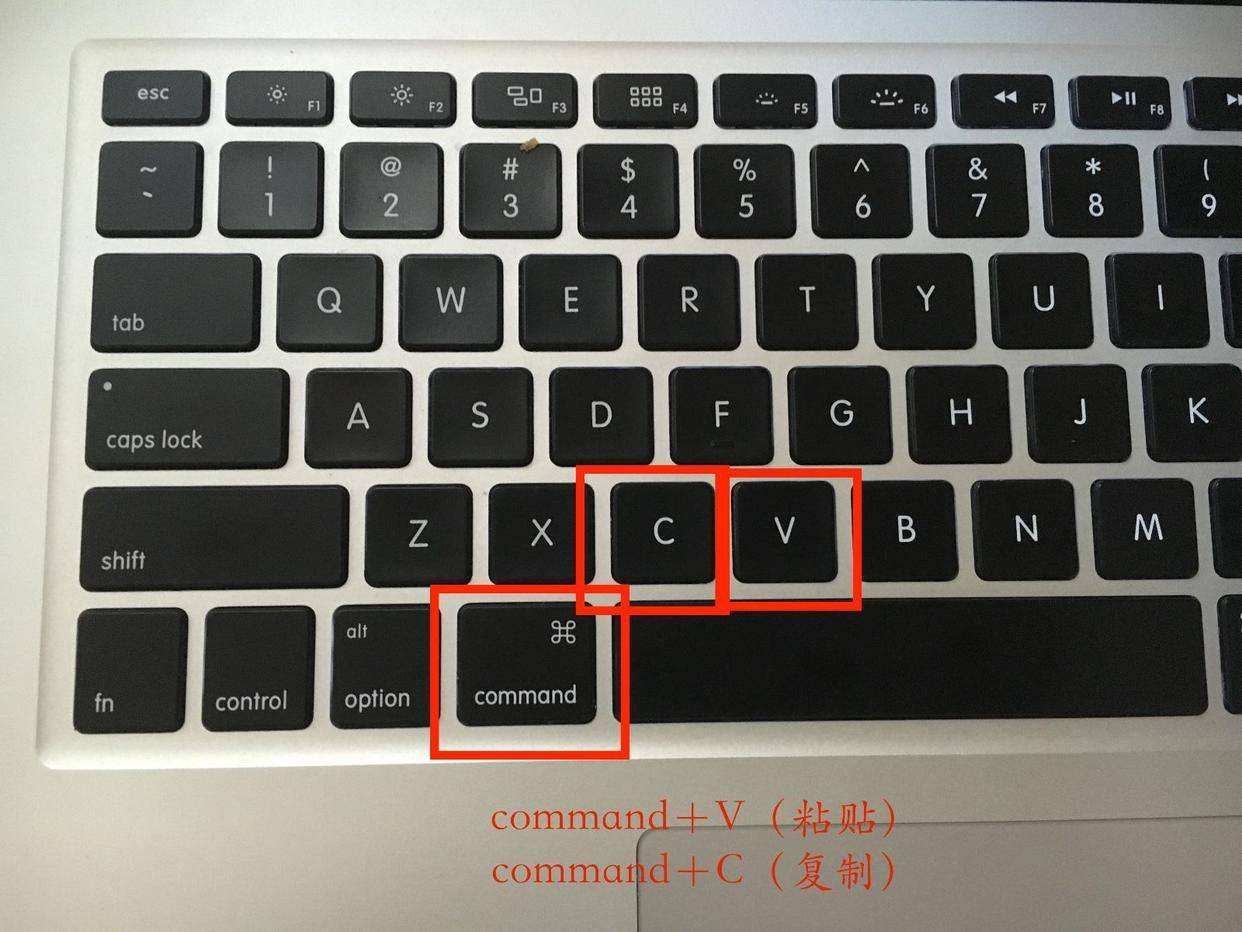 电脑怎么复制和粘贴?window与mac系统操作方法,建议收藏