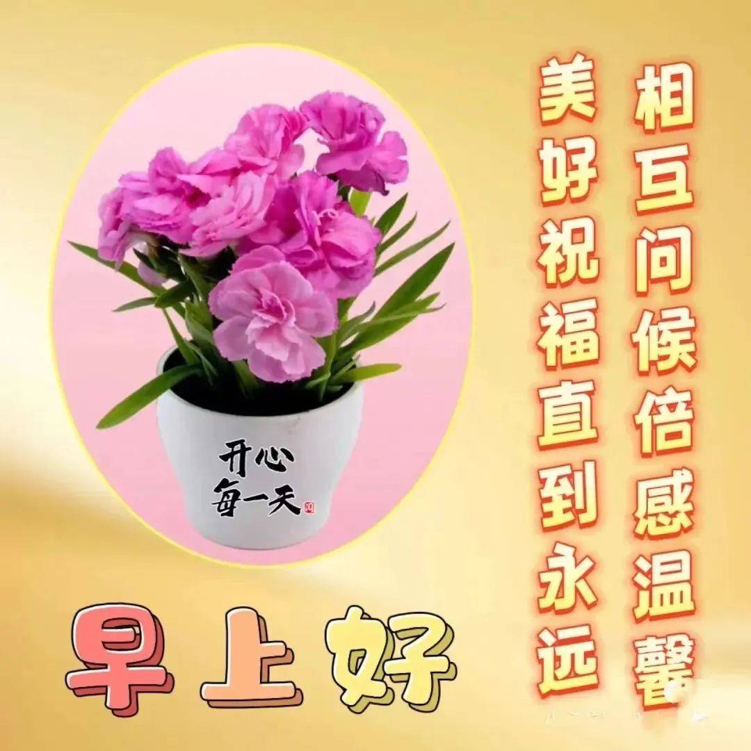 2024年4月2日周二早上好精选温馨的早安祝福图片带字问候语录