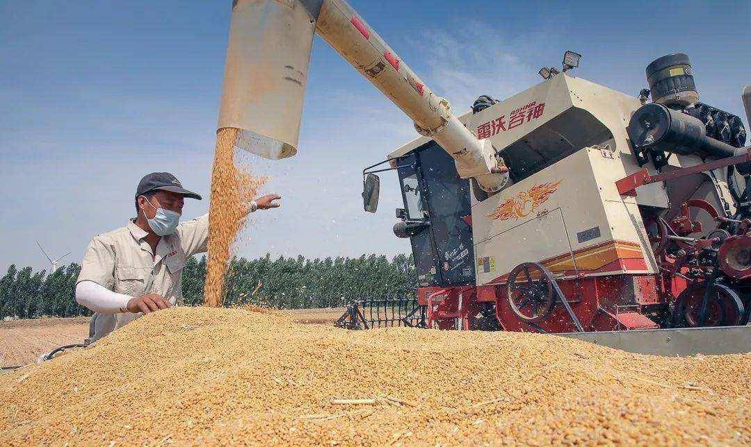 美国使用粮食危机将苏联打趴下为何同样的套路对付中国却不行