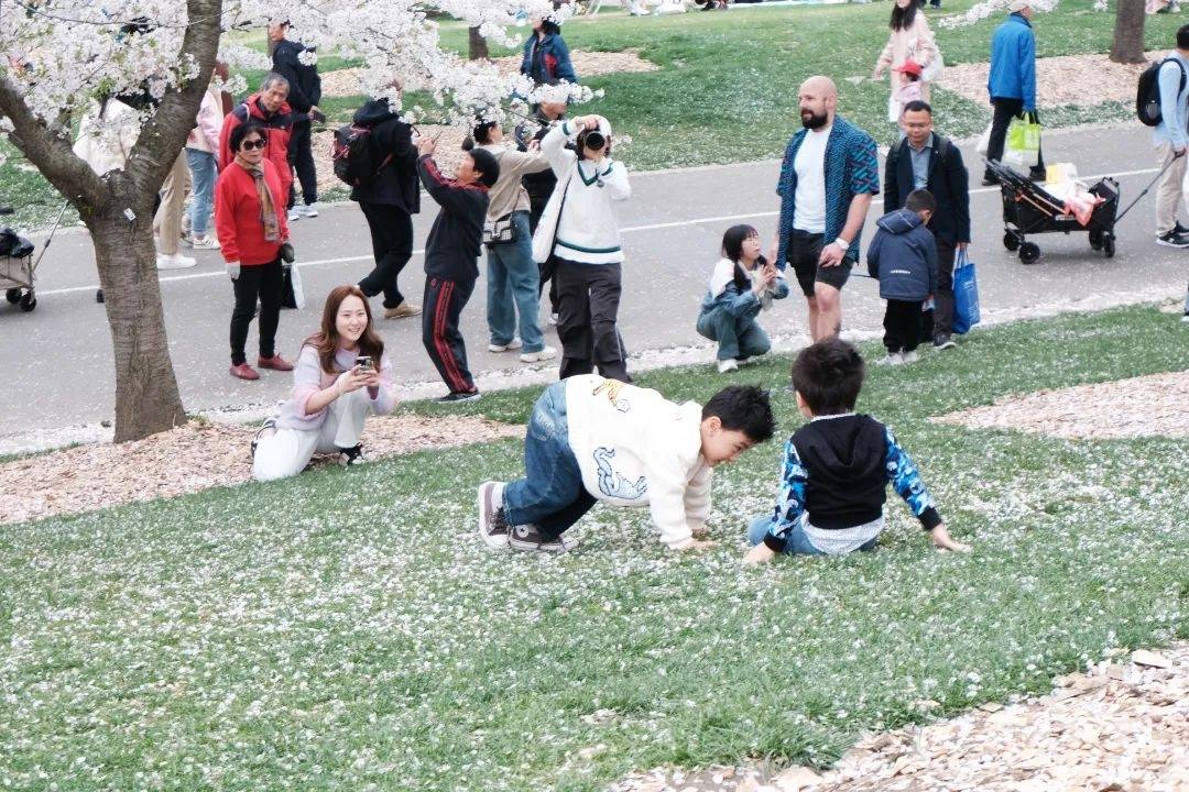 人从众昨天5万人来松江这里打卡