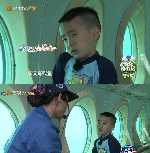 jasper看海底世界变成好奇宝宝声情并茂问问题小模样超可爱