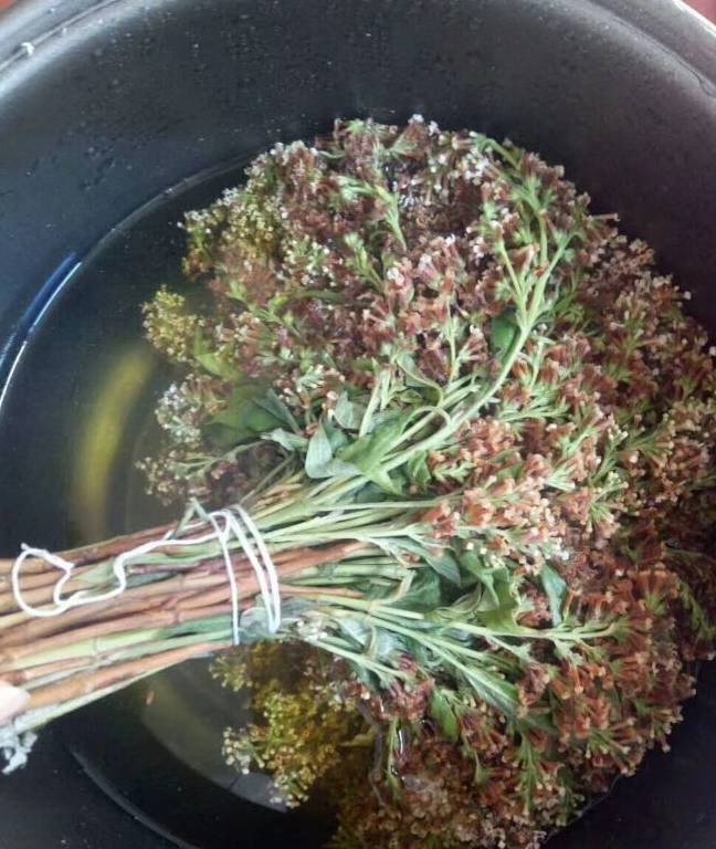 用这种花汁来煮大米饭,米饭又香又好吃_花麦水_黄色