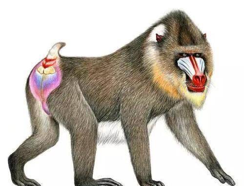 老兵故事1964年驻守海南的士兵在牧场遭到散发蓝光的野兽袭击