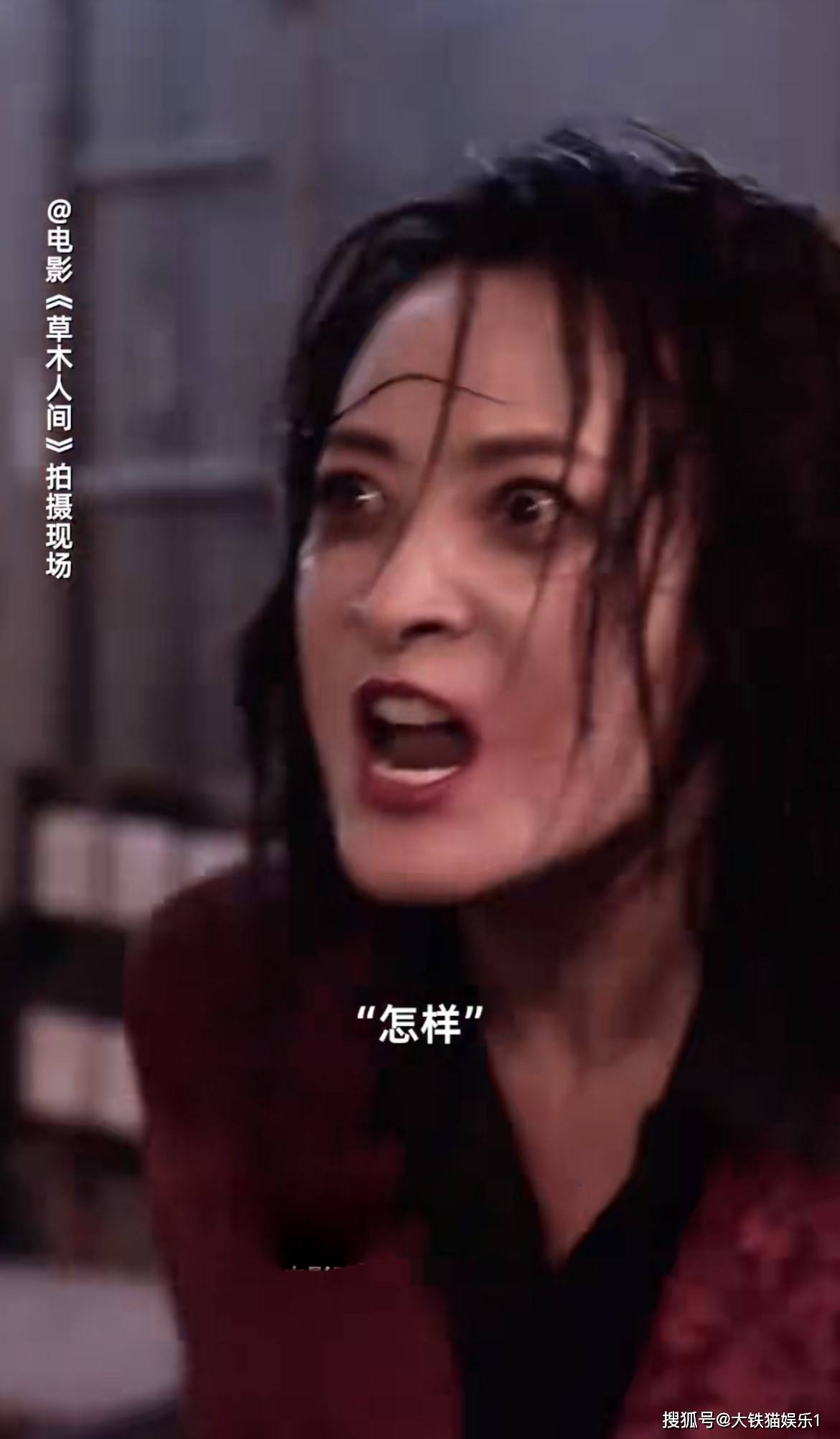 与儿子反目,歇斯底里,破口痛骂,撕打,憨厚的农妇终归是变成了"疯婆子"