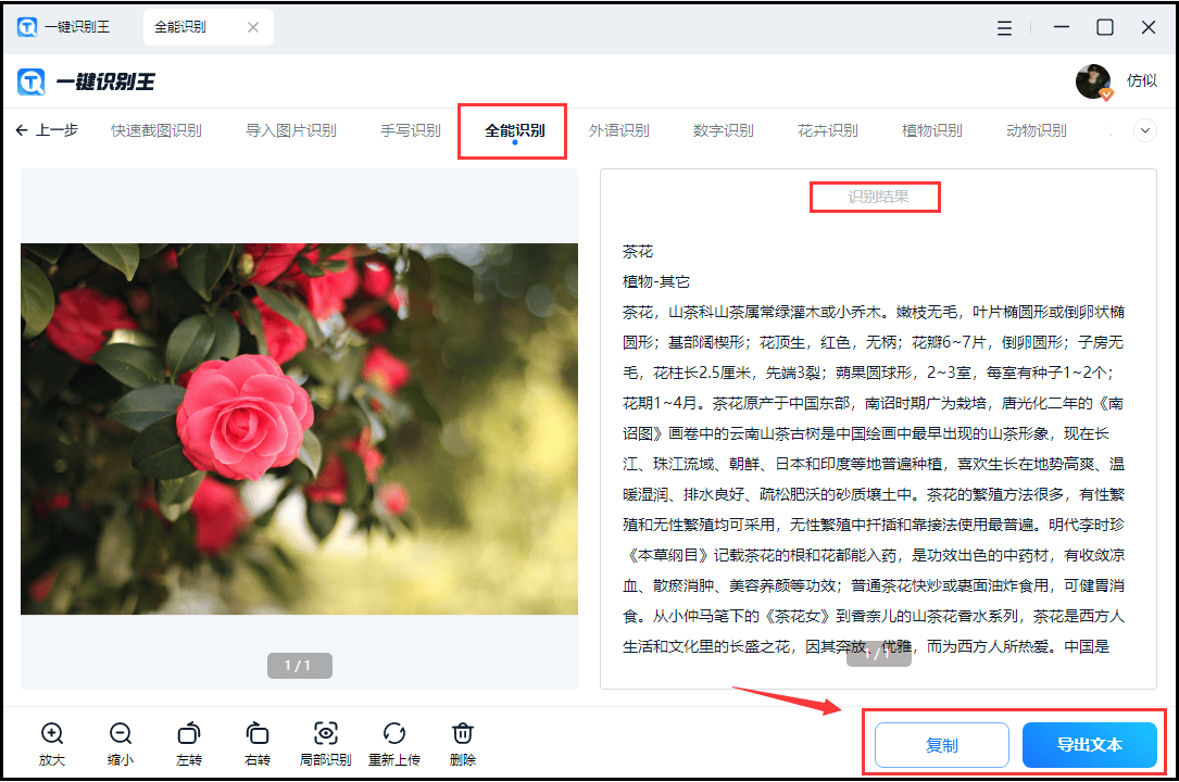 万能识别软件哪个好软件推荐