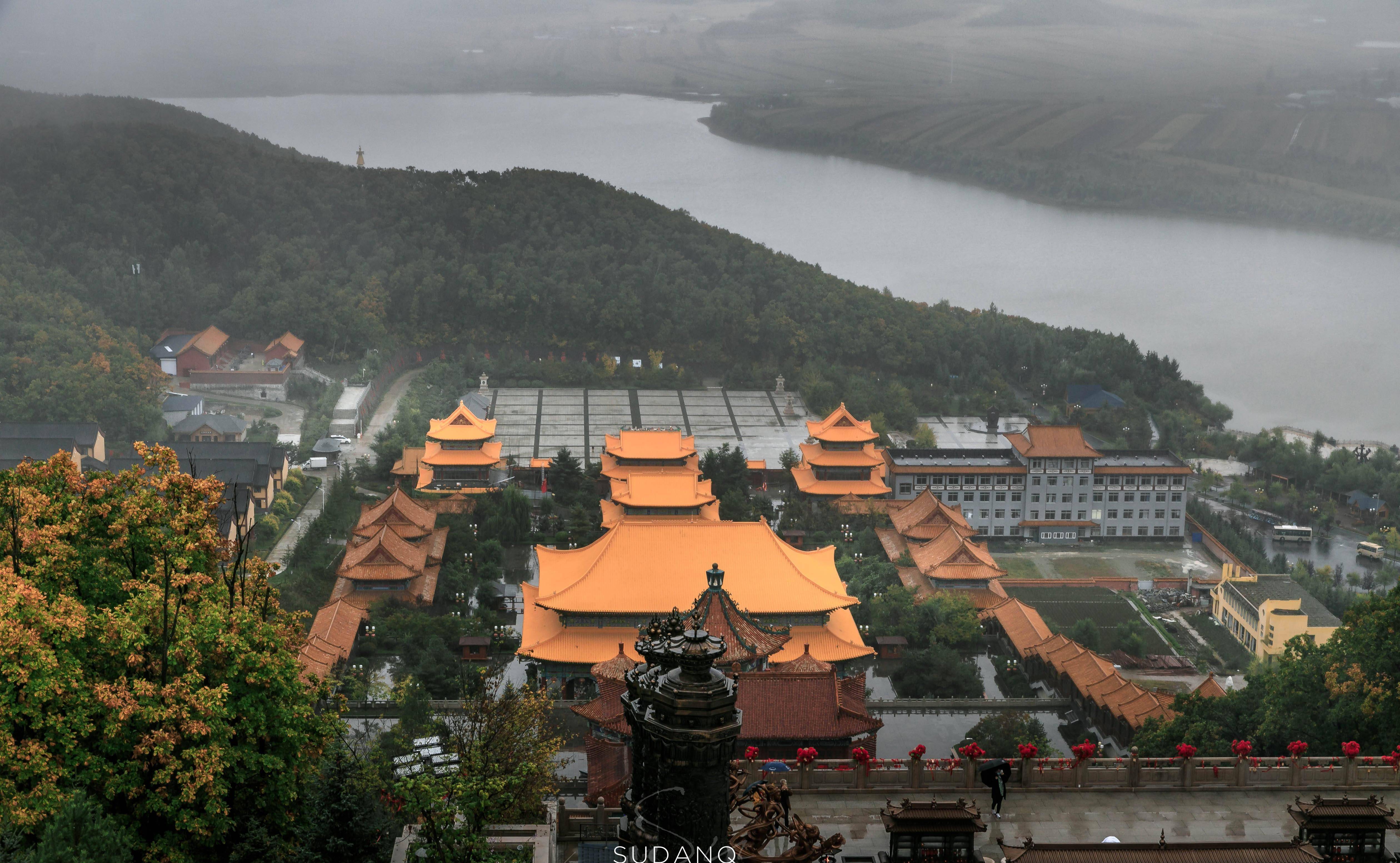 油松王旅游区图片