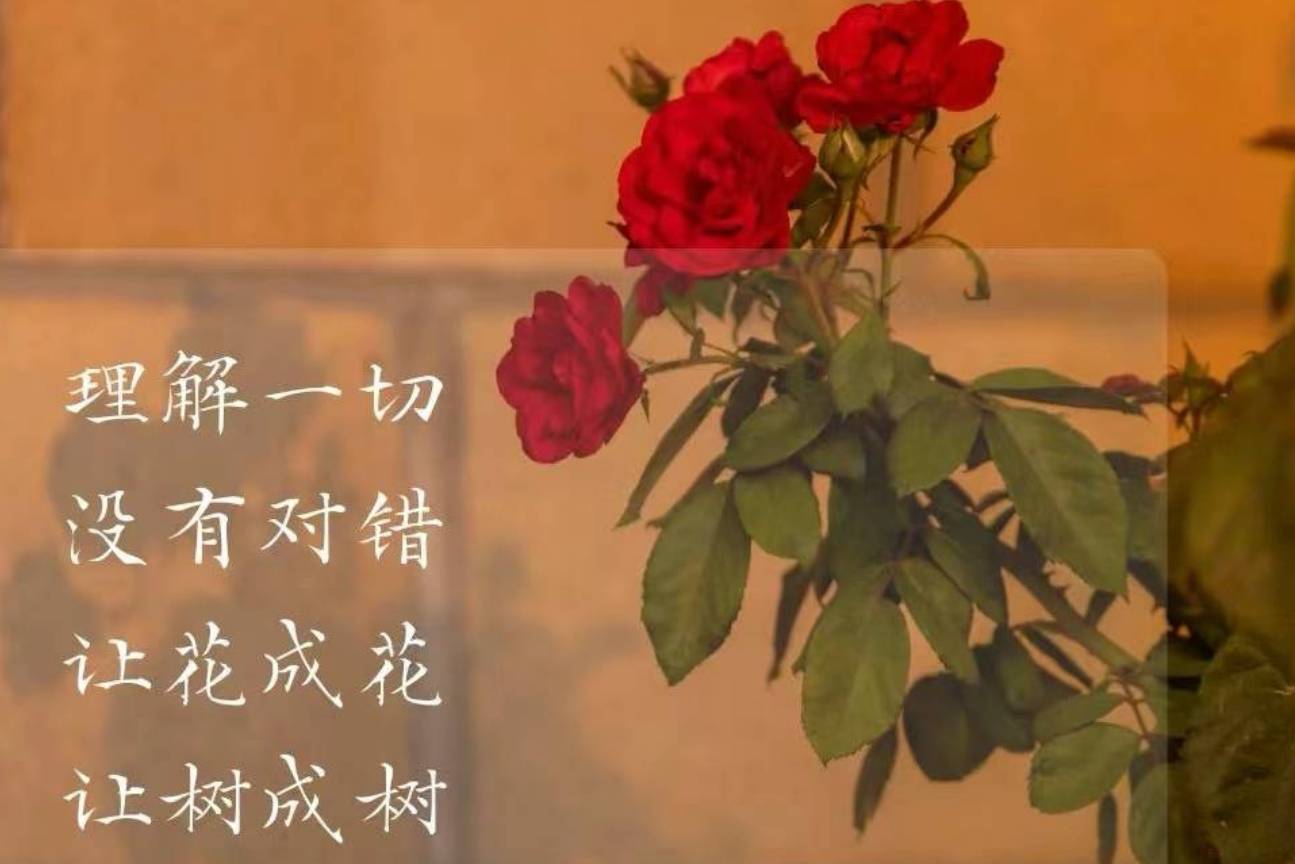 让花成花,让树成树_孩子_成长_给予