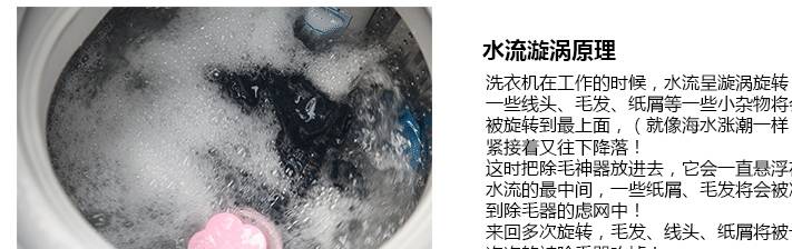 原创家里洗衣服时老婆在洗衣机内放朵小花却把衣服洗的干净又彻底