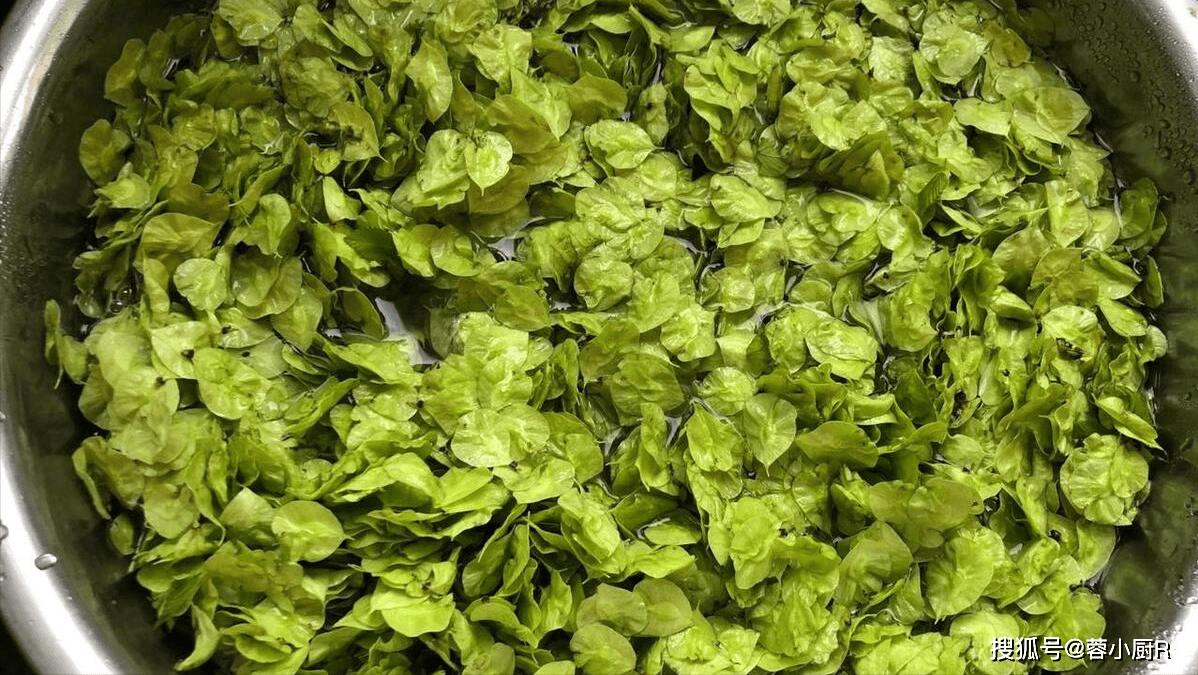 原创4月这菜使劲儿吃一解毒二健脾三强免疫再不吃又等一年