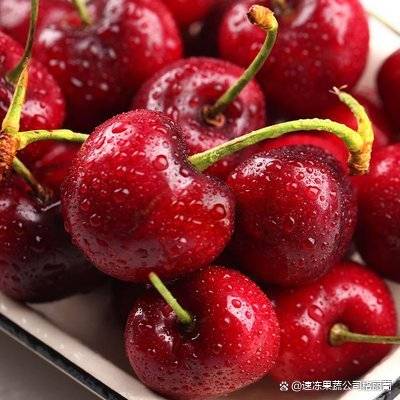 红灯樱桃果实较大,呈肾脏形,色泽艳丽,宛如一颗颗晶莹剔透的红宝石.