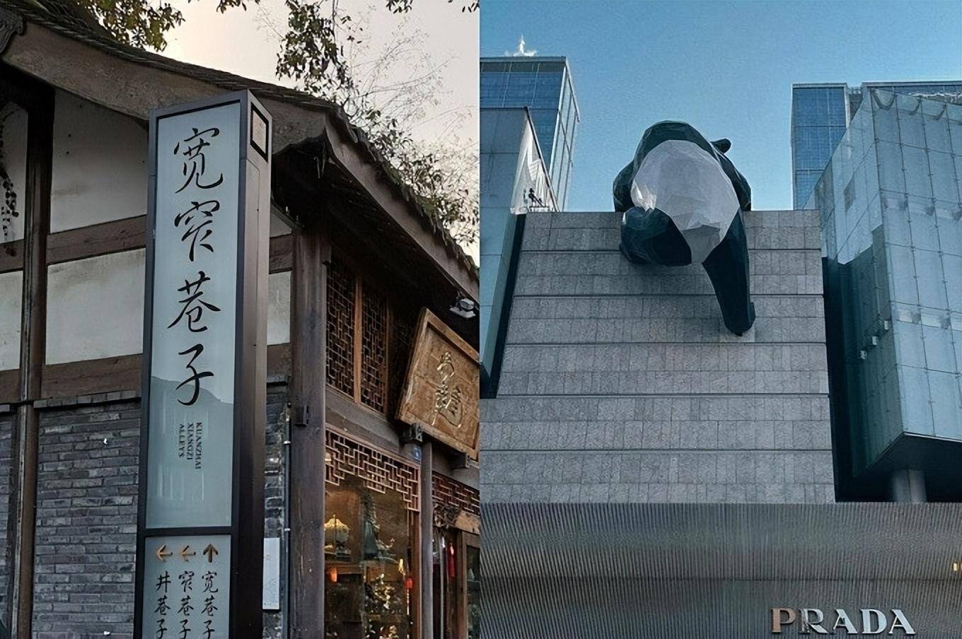 第一天:成都大熊猫繁育研究基地(4小时)>文殊院(2小时)>春熙路(2小时)