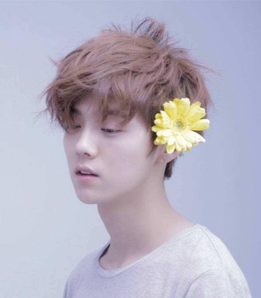 鹿晗曾是"exo"成员之一,现如今也是当红的一枚影星,不但唱跳能力根本