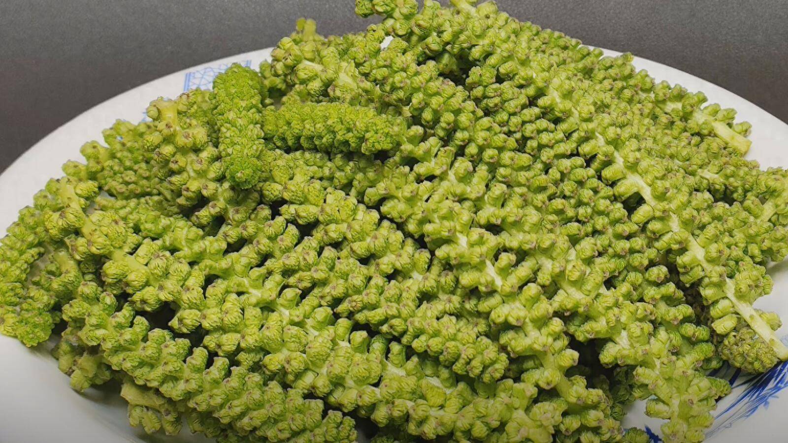 核桃花即核桃花柱,也叫核桃穗,长寿菜,龙须菜,以花茎作为原材料,做成