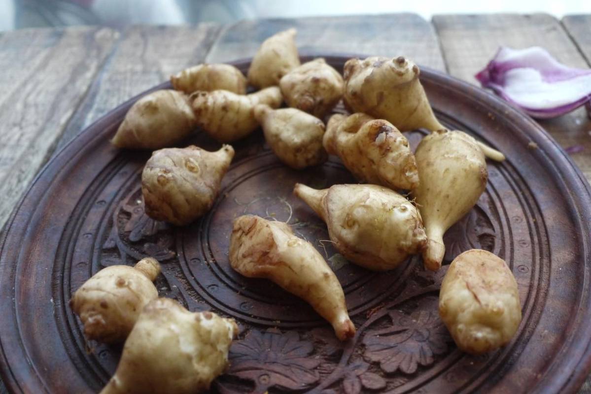 这个腌菜越吃越健康,降血脂降血糖,很多人10斤10斤的买回家腌_洋姜