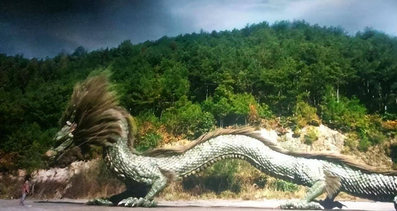 原创世界上真的有龙吗从古至今几个坠龙事件一个还被相机拍到了