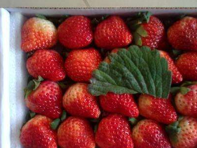 水果的背后还有这些奇特的名字地莓和玉荷包