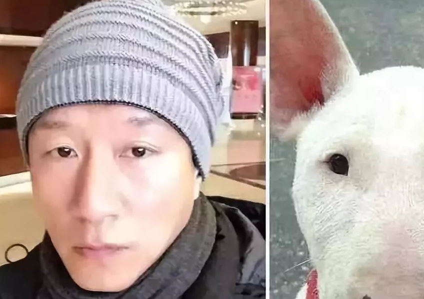 原创明星和狗子大撞脸第一位可真是太像了