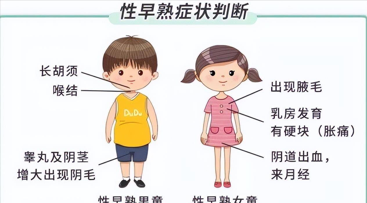 原创中国家庭之殇53万儿童性早熟毁掉孩子的不是炸鸡和豆浆